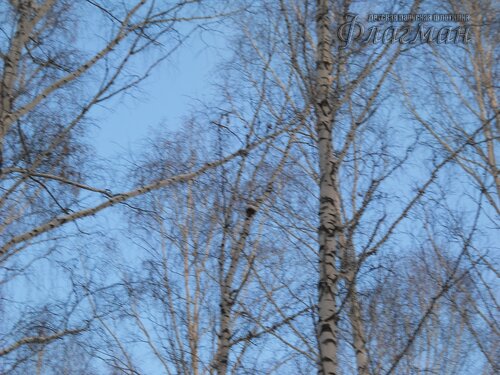 DSCN0109_r